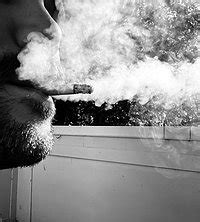 chatty chainsmoker|chatty chainsmokers chatovod.